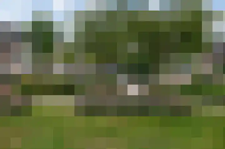 Loshaven 31 Hillegom thumbnail 41