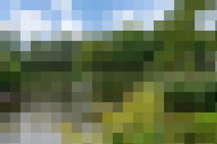 Loshaven 31 Hillegom thumbnail 42