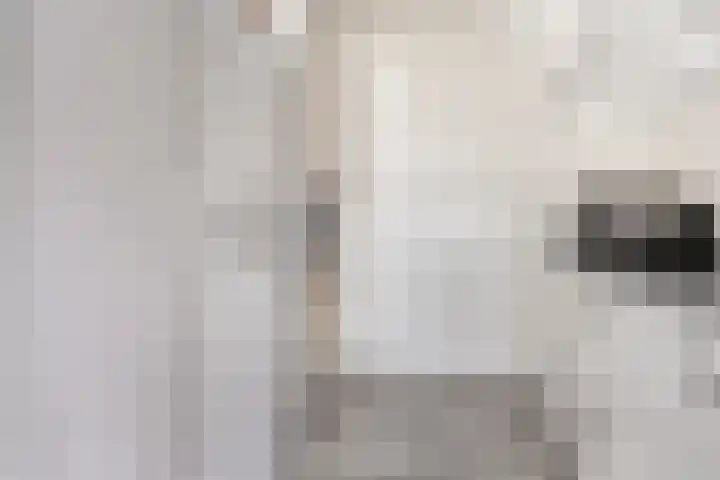 Loshaven 31 Hillegom thumbnail 5