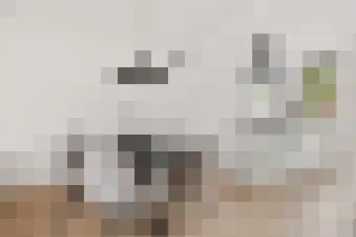 Loshaven 31 Hillegom thumbnail 7