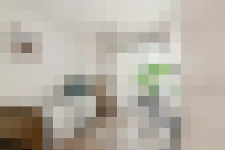 Losse acker 7 Heemskerk thumbnail 14