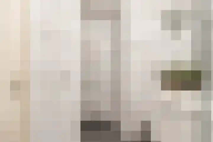 Losse acker 7 Heemskerk thumbnail 17