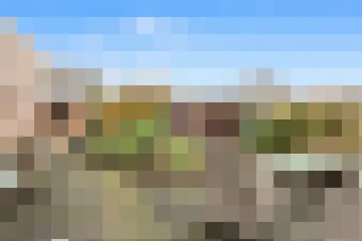 Losse acker 7 Heemskerk thumbnail 20