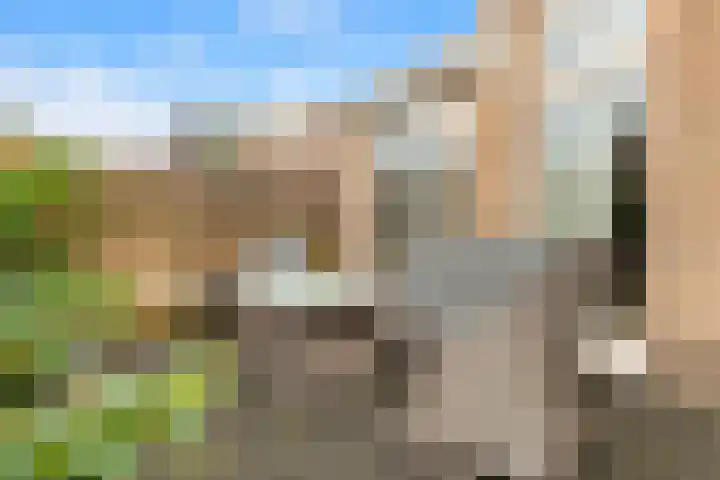 Losse acker 7 Heemskerk thumbnail 21