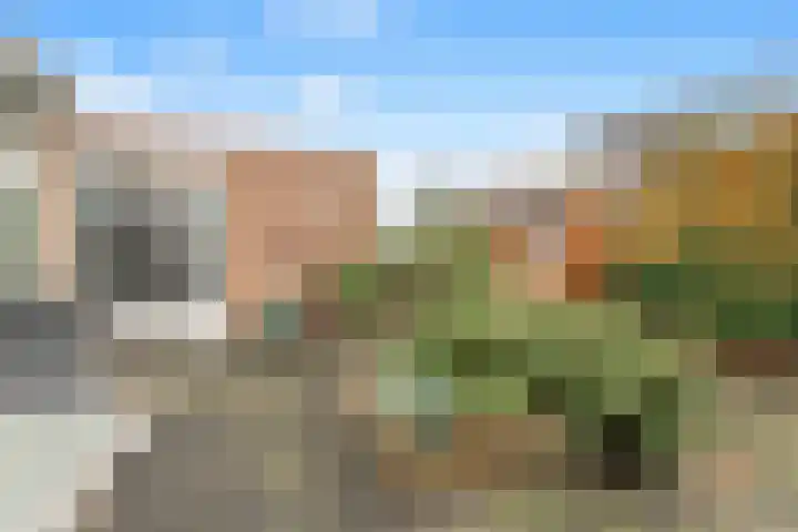 Losse acker 7 Heemskerk thumbnail 22