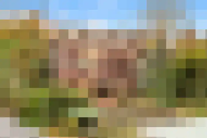 Losse acker 7 Heemskerk thumbnail 24