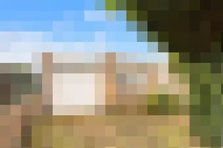 Losse acker 7 Heemskerk thumbnail 25
