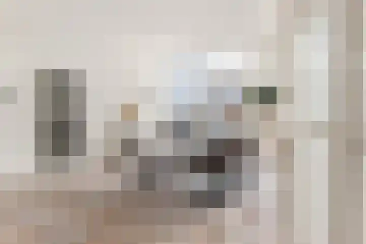 Losse acker 7 Heemskerk thumbnail 7