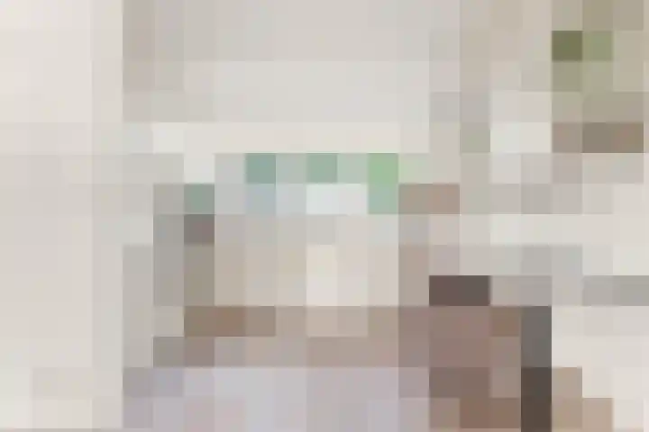 Losse acker 7 Heemskerk thumbnail 8