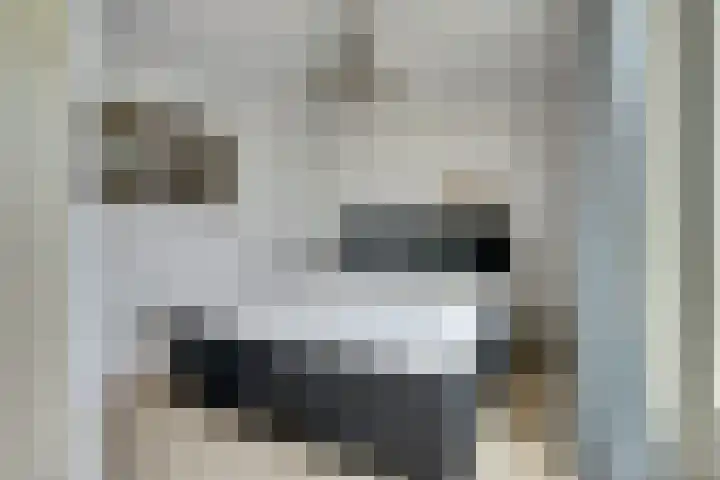 Loswal 19 Kortgene thumbnail 10