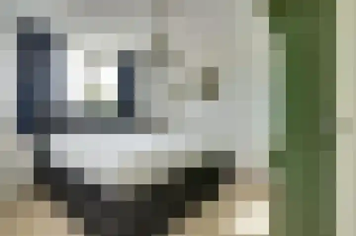 Loswal 19 Kortgene thumbnail 14