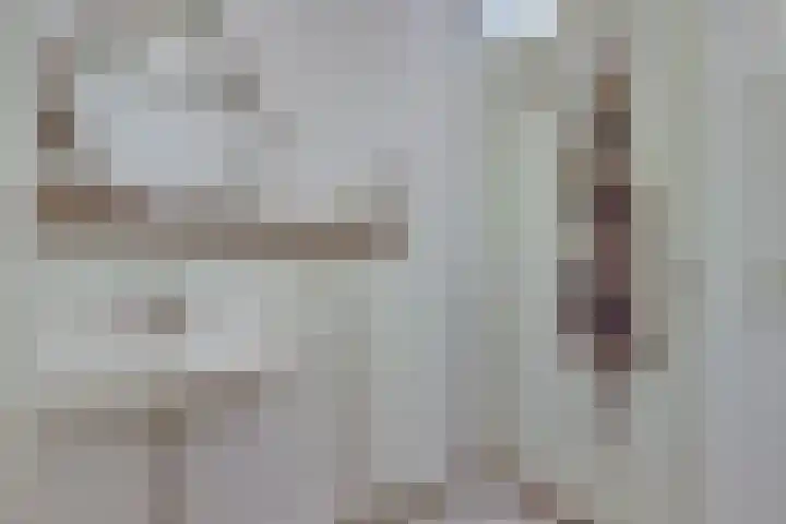 Loswal 19 Kortgene thumbnail 18
