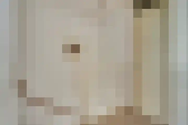 Loswal 19 Kortgene thumbnail 20