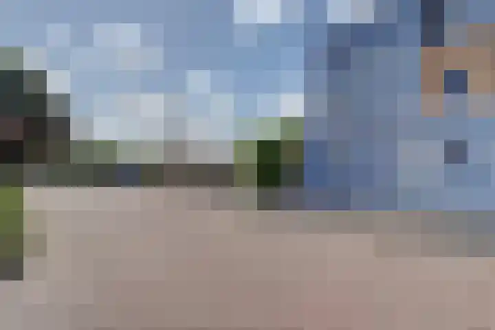 Loswal 19 Kortgene thumbnail 38