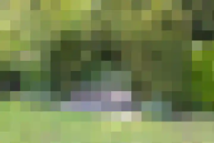 Lothariuslaan 113 Bussum thumbnail 24