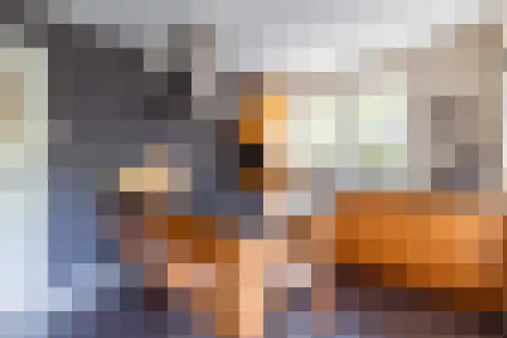Lothariuslaan 113 Bussum thumbnail 31
