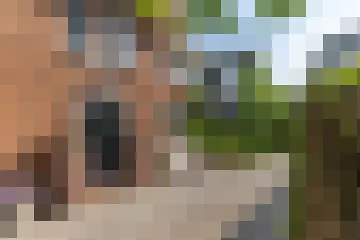 Lothariuslaan 113 Bussum thumbnail 4