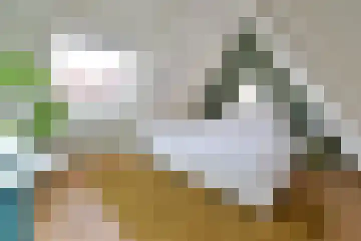 Lothariuslaan 4 Bussum thumbnail 17