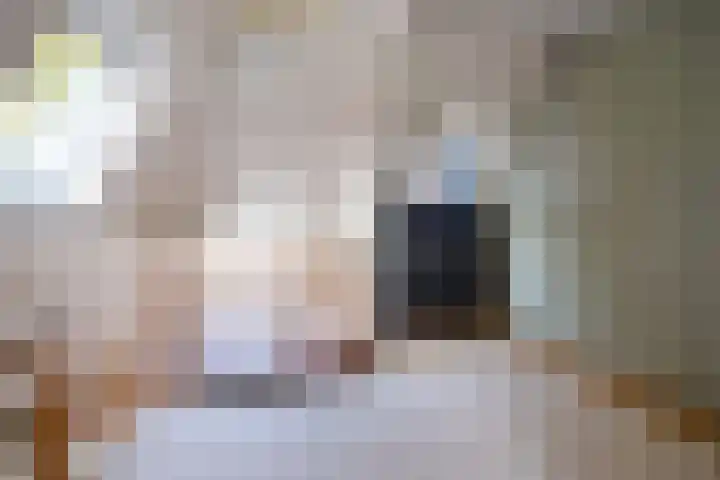 Lothariuslaan 4 Bussum thumbnail 19