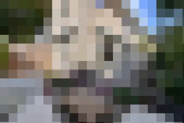 Lothariuslaan 4 Bussum thumbnail 20