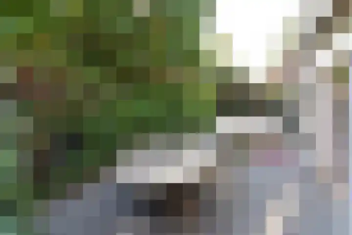 Lothariuslaan 4 Bussum thumbnail 22