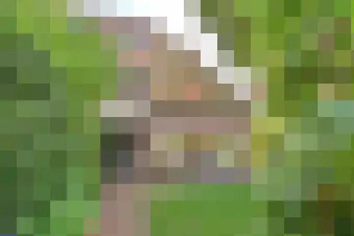 Lothariuslaan 4 Bussum thumbnail 23