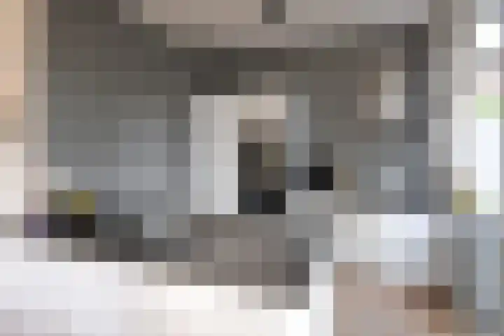 Lothariuslaan 4 Bussum thumbnail 7