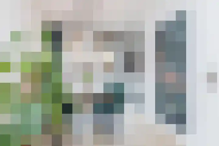 Lothariusstraat 15 Sittard thumbnail 10
