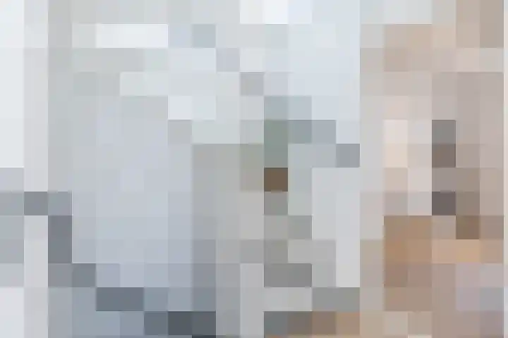 Lothariusstraat 15 Sittard thumbnail 24