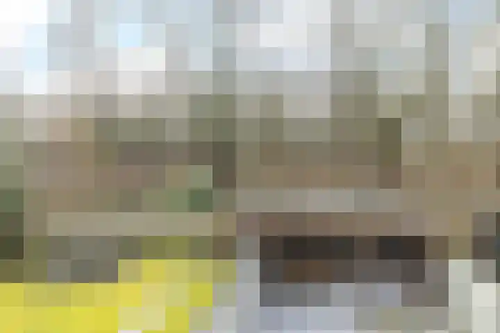 Lothariusstraat 15 Sittard thumbnail 29
