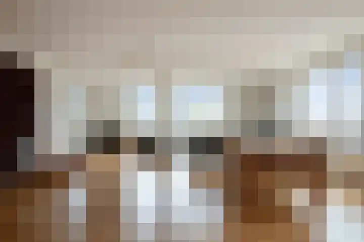 Lotustuin 41 Rotterdam thumbnail 11