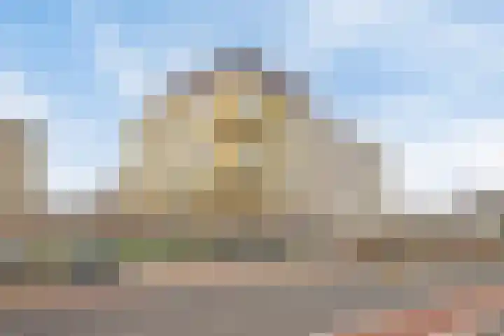 Lotustuin 41 Rotterdam thumbnail 30