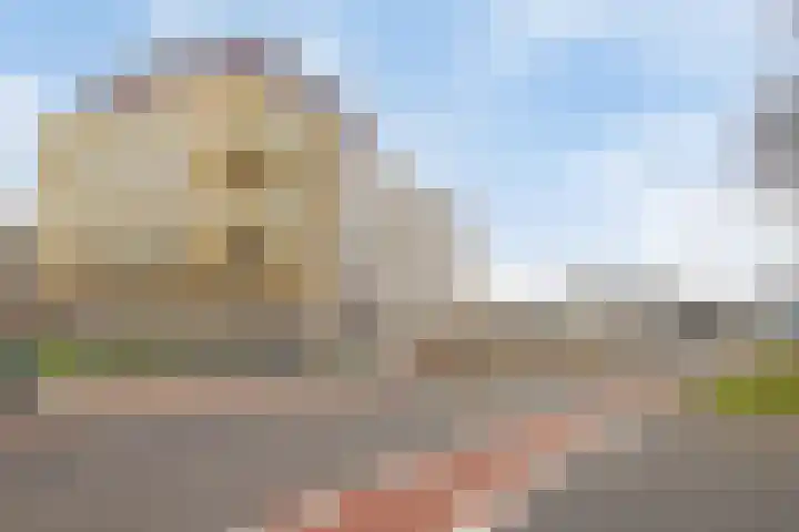 Lotustuin 41 Rotterdam thumbnail 31
