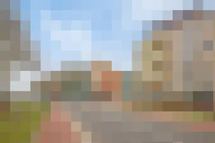 Lotustuin 41 Rotterdam thumbnail 32