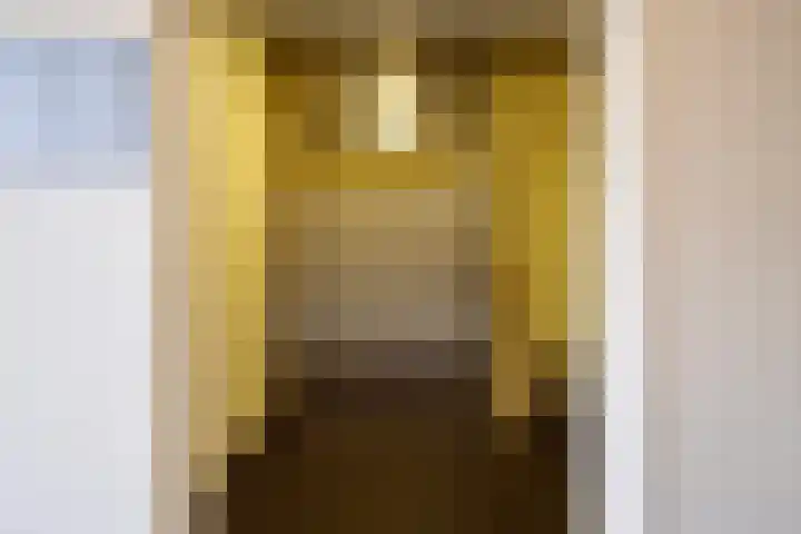 Lotustuin 41 Rotterdam thumbnail 5