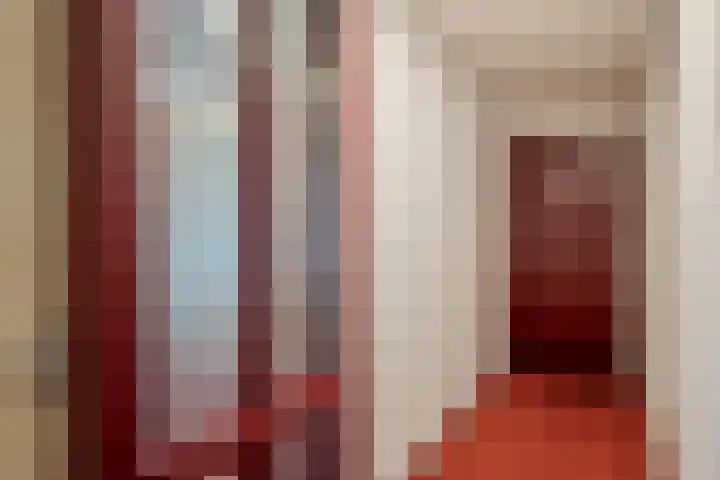 Lotustuin 41 Rotterdam thumbnail 6