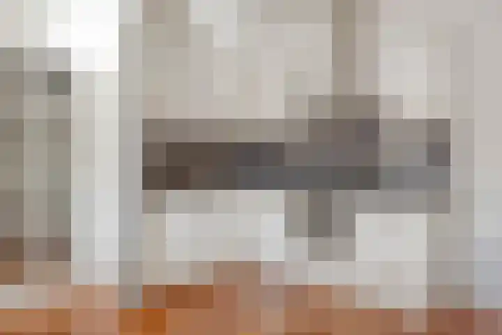 Lotustuin 45 Rotterdam thumbnail 10