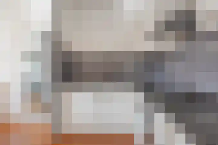 Lotustuin 45 Rotterdam thumbnail 12