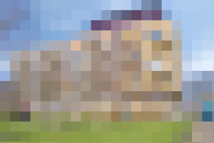 Lotustuin 45 Rotterdam foto 3