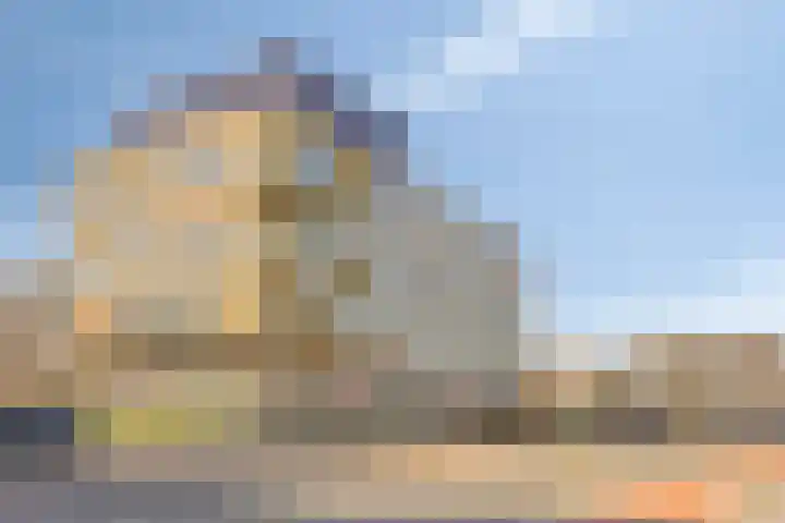 Lotustuin 45 Rotterdam thumbnail 32
