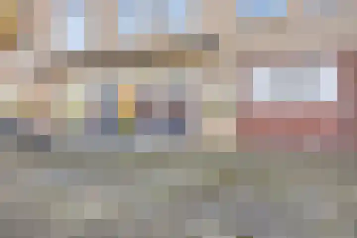 Lotustuin 45 Rotterdam thumbnail 36