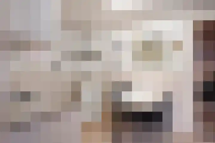 Louerstraat 11 Susteren thumbnail 15