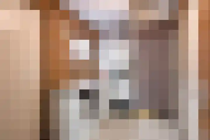 Louerstraat 11 Susteren thumbnail 17