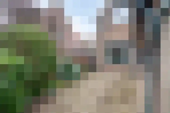 Louerstraat 11 Susteren thumbnail 23