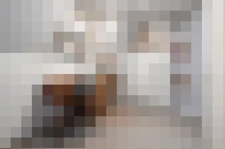 Louerstraat 11 Susteren thumbnail 26