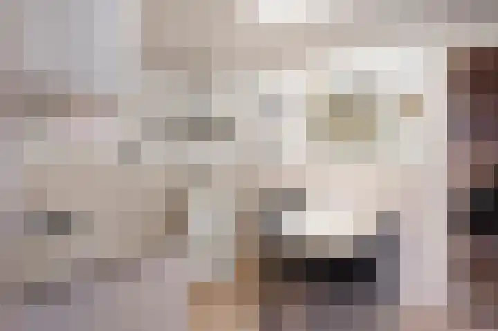 Louerstraat 11 Susteren thumbnail 4