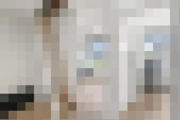 Louis Pasteurstraat 3 Krommenie thumbnail 21