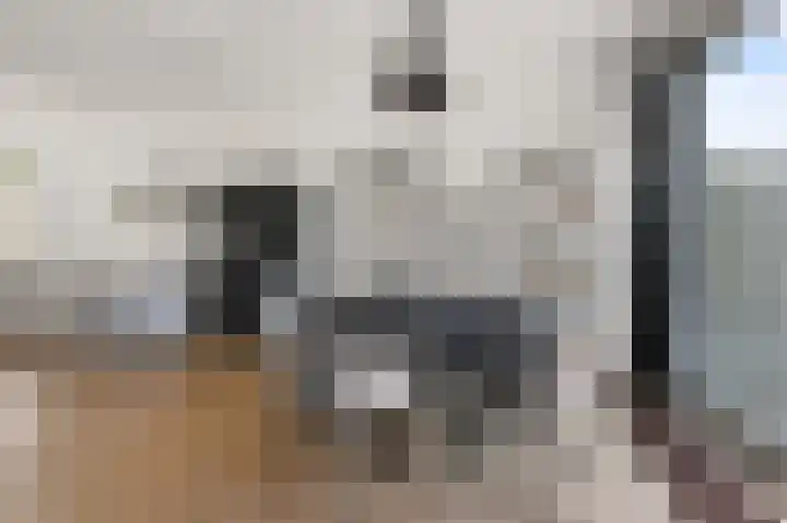 Louis Pasteurstraat 3 Krommenie foto 3