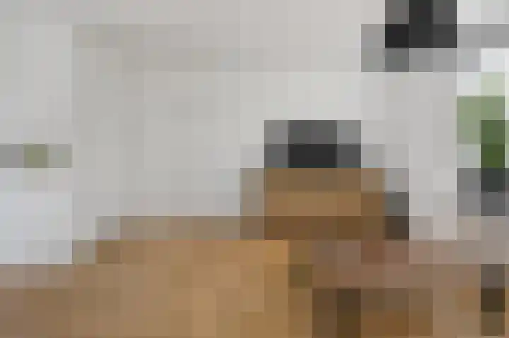 Louis Pasteurstraat 3 Krommenie thumbnail 6