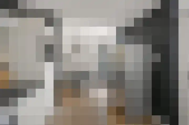 Louis Pasteurstraat 3 Krommenie thumbnail 8